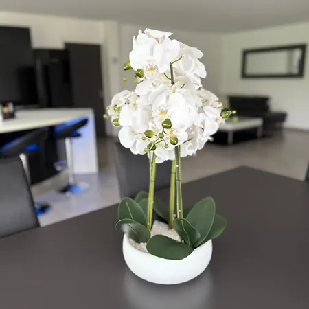 Chipie Neuve&grand Standing ! *