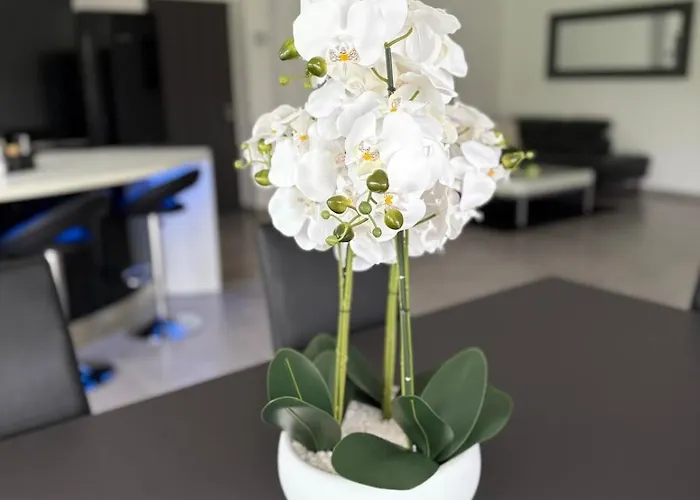 Chipie Neuve & Grand Standing ! *